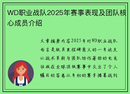 WD职业战队2025年赛事表现及团队核心成员介绍